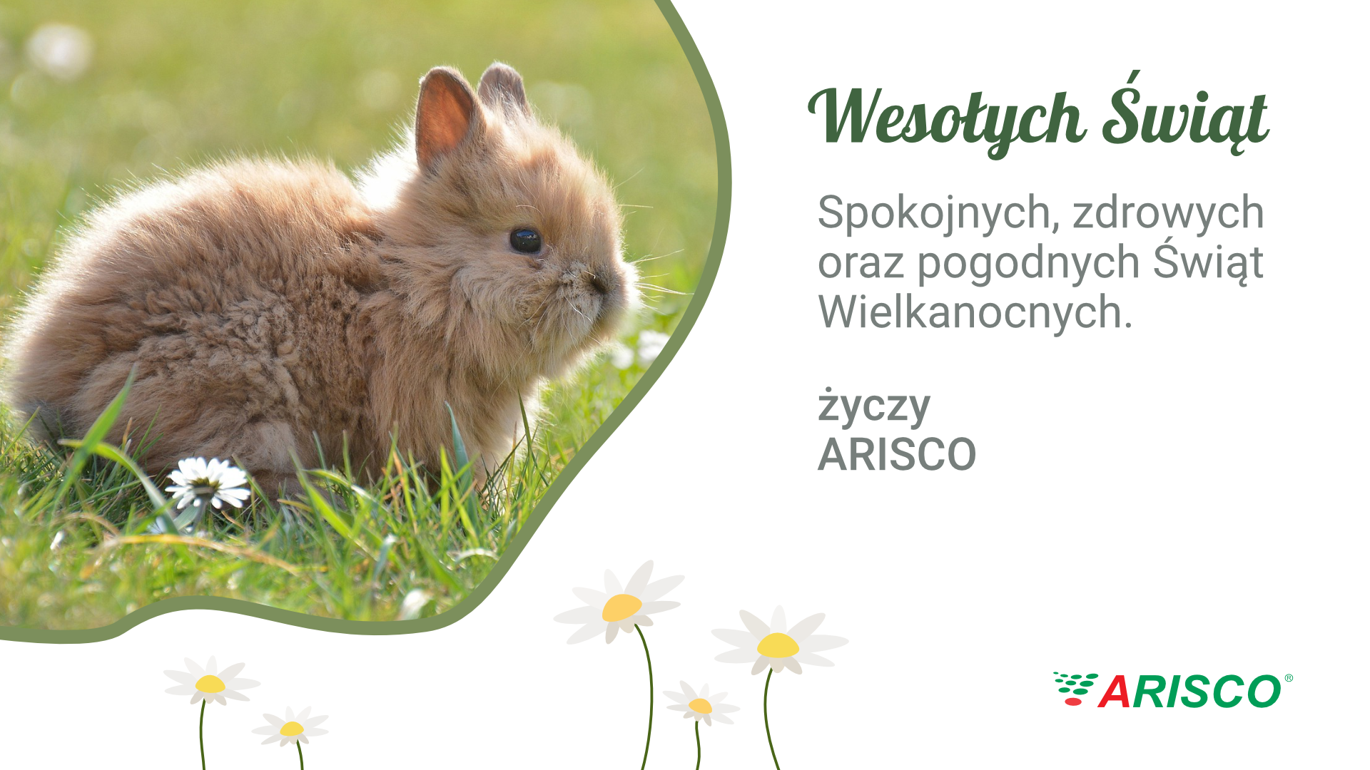 Życzena świąteczne od firmy Arisco